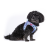 Curli Szelki dla psa - Clasp Air Mesh Semi Circle Blue - (1).png