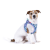 Curli Szelki dla psa - Clasp Air Mesh Semi Circle Blue - (2).png