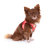 Curli Szelki dla psa - Clasp Air Mesh Semi Circle Red (4).png