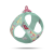 Curli Szelki dla psa - Clasp Air Mesh Juicy Fruits Turquoise (1).png