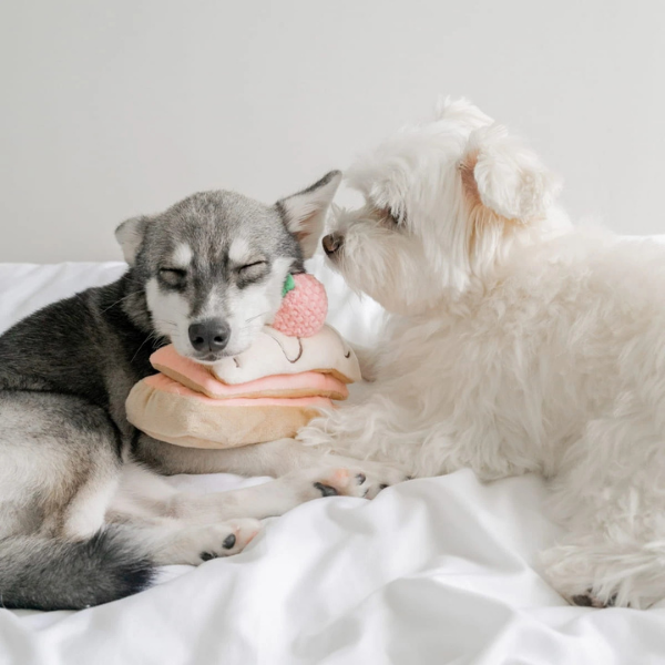 Pups &amp; Bubs Zabawka węchowa dla psa - Torcik dla psa i kota (4).png