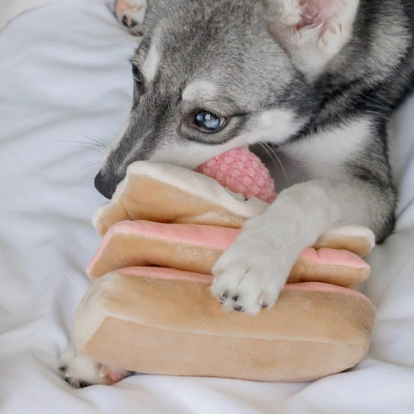 Pups &amp; Bubs Zabawka węchowa dla psa - Torcik dla psa i kota (5).png