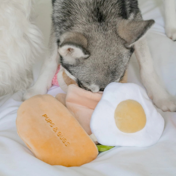 Pups &amp; Bubs Zabawka węchowa dla psa - Pita (2).png