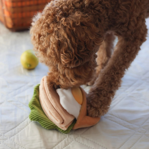 Pups &amp; Bubs Zabawka węchowa dla psa - Pita (6).png