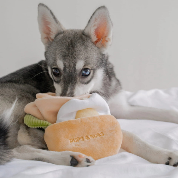 Pups &amp; Bubs Zabawka węchowa dla psa - Pita (9).png