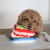 Pups &amp; Bubs Zabawka węchowa dla psa - LASAGNE  (1).png