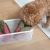 Pups &amp; Bubs Zabawka węchowa dla psa - LIŚCIE BOĆWINKI (5).png