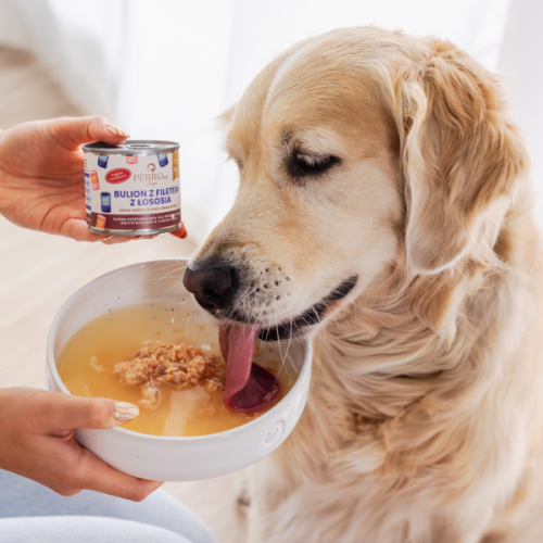 PERRO SOUPS Bulion z filetem z łososia dla psa i kota - 140 g   (2).png