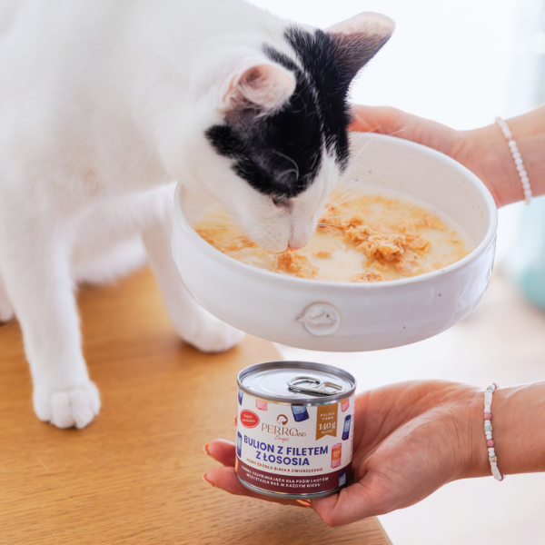 PERRO SOUPS Bulion z filetem z łososia dla psa i kota - 140 g   (3).png