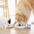 PERRO SOUPS Bulion z wołowiną dla psa i kota - 140 g  (2).png