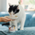 PERRO SOUPS Bulion z filetem z kaczki dla psa i kota - 140 g  (3).png