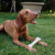 DOG'S LOVE Smart Chew Collagen Maxi - gryzaki kolagenowe  (3).png