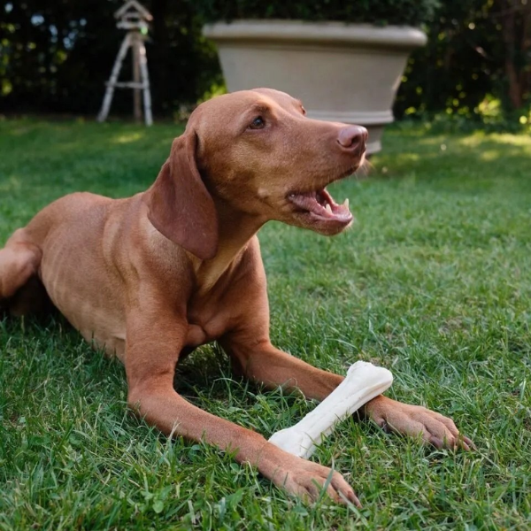 DOG'S LOVE Smart Chew Collagen Small - gryzaki kolagenowe - 3 szt (3).png
