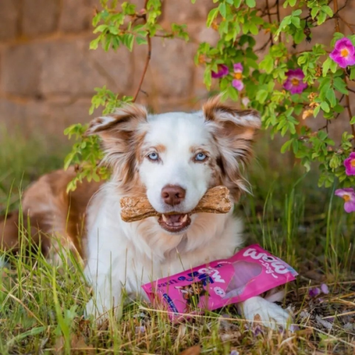 WOW DOG Natural Chew Bone Hirsch - kość do żucia ze skóry jelenia dla psów - 80 g  (2).png