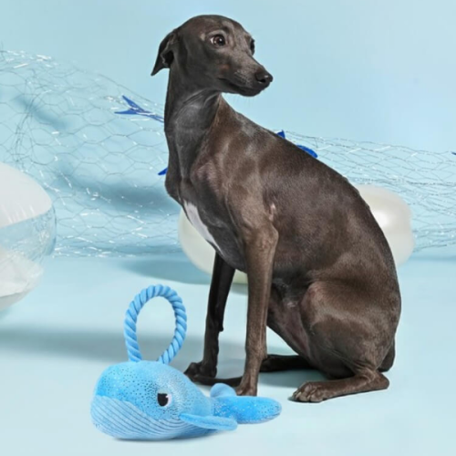 Hugsmart Ocean Pals – Whale – Interaktywny pluszowy wieloryb ze sznurkowym uchwytem (2).png