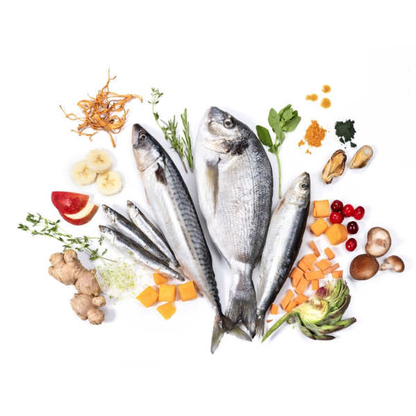 YDOLO MINI WILD FISH - ryby morskie - półwilgotna karma dla psów małych ras - 700 g  (4).png