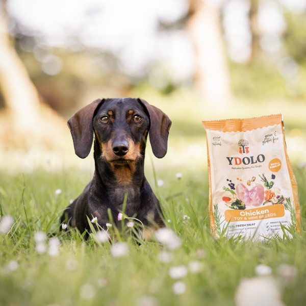 YDOLO MINI CHICKEN - kurczak i ryby - półwilgotna karma dla psów małych ras - 700 g  (4).png