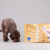 PERRO Gourmet Królik –  karma tłoczona na zimno dla psów dorosłych średnich i dużych ras  (2).png