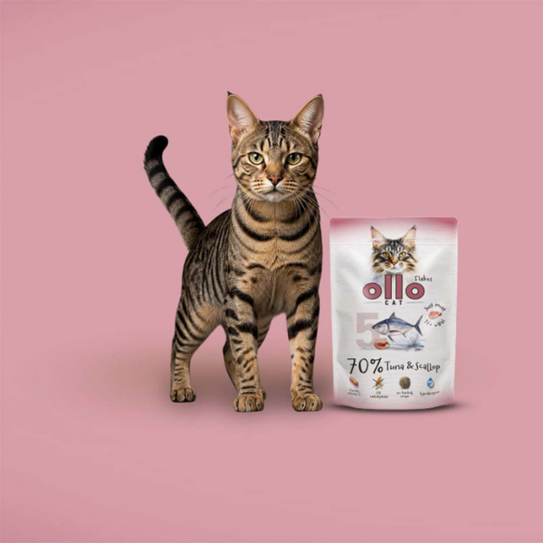 OLLO CAT nr 5 Tuńczyk i przegrzebki - karma mokra dla kotów - 85 g (5).png
