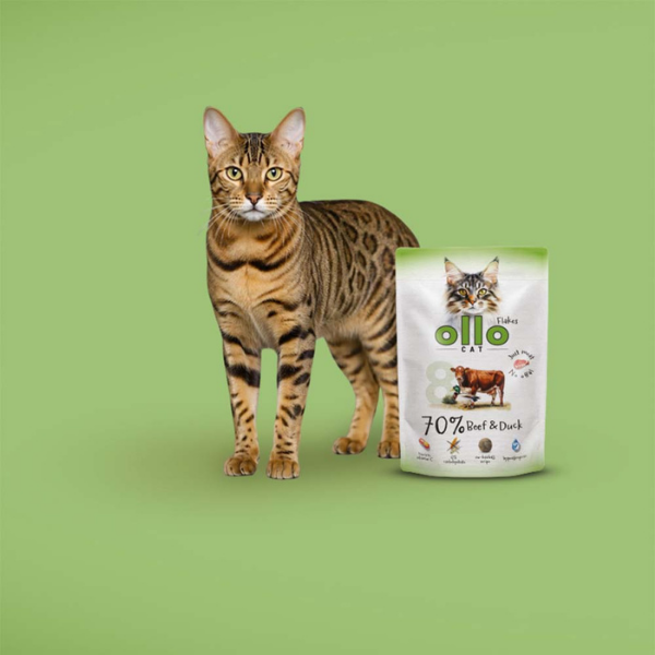OLLO CAT nr 8 Wołowina i kaczka - karma mokra dla kotów - 85 g (5).png