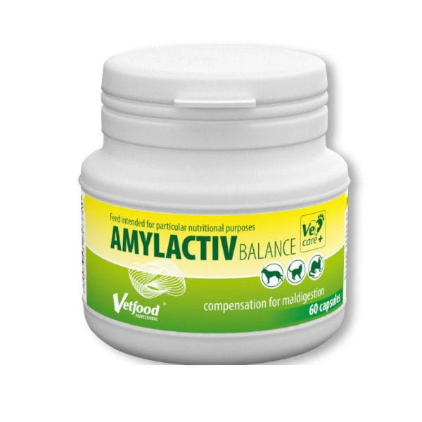 VETFOOD Amylactiv Balance Preparat dla psów, kotów i fretek z zaburzeniami trawienia - 60 kapsułek.jpg