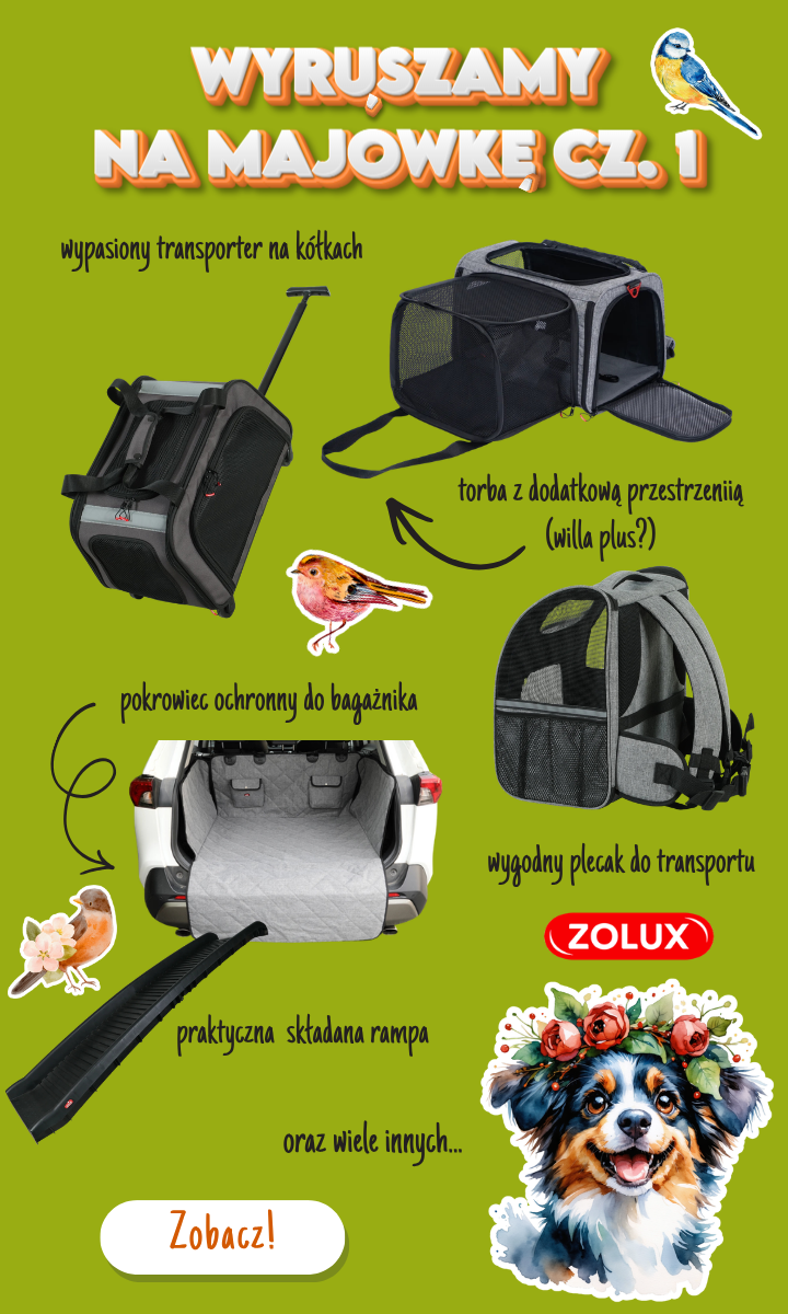 TRANSPORTERY I AKCESORIA DO SAMOCHODU DLA PSÓW I KOTÓW