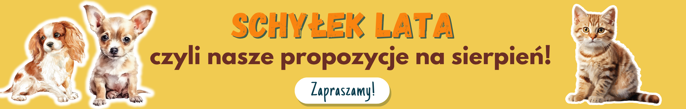 LATO 2026