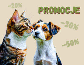 PROMOCJE